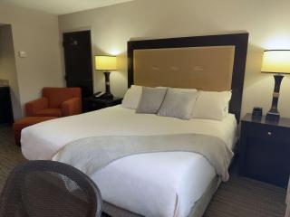 Branson Hillside Hotel - Branson - 1