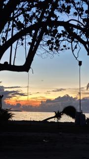 Turtle Hive - Velaa Vani - Dhiffushi - 5