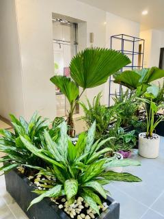 Sundays Apartment - Ho Chi Minh - 9