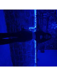 Moksha Wellness - Mandrem - 4