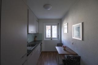 2BR flat close to lake, opera and city center - SF10 - Zürich - 4