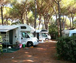 Camping Village IL SOLE - Empty Pitch Only - Solo Piazzole per la propria tenda o caravan - Marina di Grosseto - 9