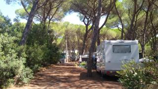 Camping Village IL SOLE - Empty Pitch Only - Solo Piazzole per la propria tenda o caravan - Marina di Grosseto - 5