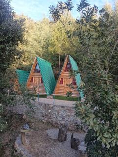 Hawk cottages and camps - Nainital - 8