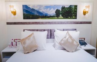 Hotel Arison - Srinagar - 3