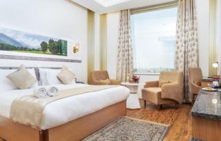 Hotel Arison - Srinagar - 7