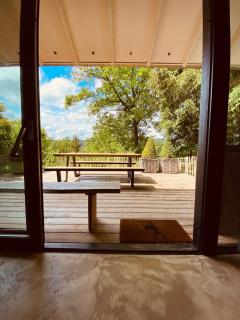 Le petit ours de Coo - 1