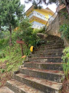 Nhà bên rừng - - 4