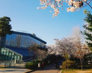 Life Stay Guui - Seul - 6