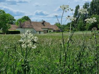 Gîte de la Saussaie - Au four & au moulin - - 3