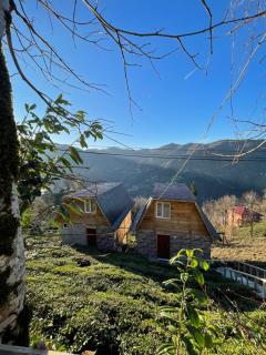 Nozona Villa-Dağ Evleri - Çamlıhemşin - 4