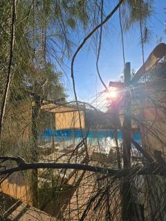 Manzil La Tortue - 6