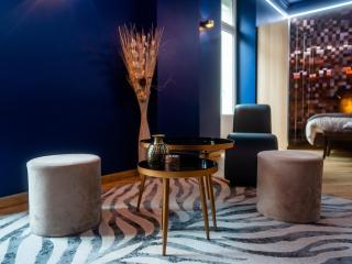Le Voluptueux - Sauna - Jacuzzi - Centre-Ville - Angers - 3
