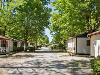 Camping maeva Escapades Les Bö-Bains - Badefols-sur-Dordogne - 2