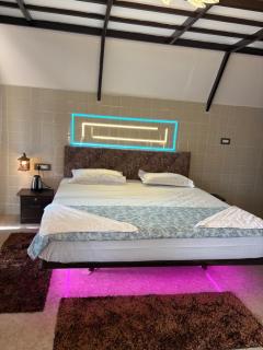 Thanjee Homestay Family Cottage - Yelagiri - 7
