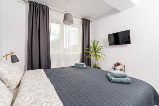 Cozy Apartment - Swimming Center, Airport & Therme SPA - Otopeni - 9