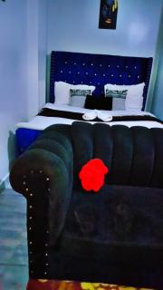 Fully furnished studio unit near the airport - Nairobi - 2