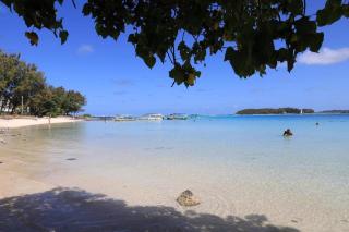 Blue Star Villa - Pointe d'Esny - 6