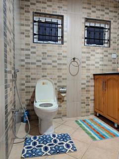 Blue Star Villa - Pointe d'Esny - 2