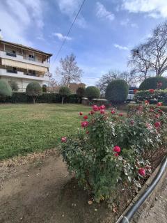 Aggelos Guest House - 4