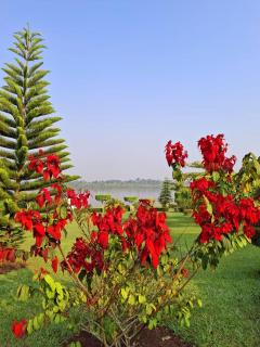 Smart Beach Resort Hotel Mityana - 6
