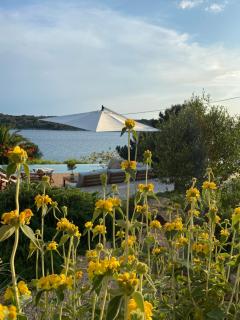 Villa del Mar - Mali Lošinj - 6