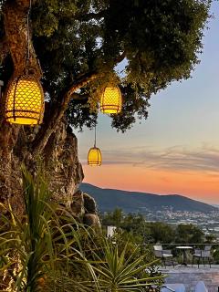 Maison dans les Arbres PISCINE CLIM Luxe - Hyères - 5