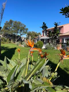 Maison dans les Arbres PISCINE CLIM Luxe - Hyères - 7