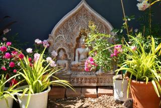 Sundee Garden Villa Tapae Gate - 2