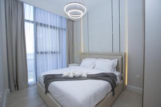 Standard 2BHK located in Azizi riviera 46 - 9