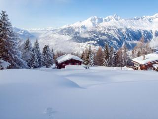 Chalet Panorama - Rosswald - 9