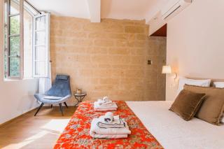 Le Petit Avignon - chambres & appartement à deux pas du Pont d'Avignon et du Palais des Papes - Avignon - 7