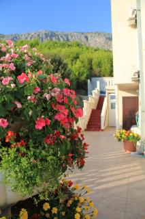 Apartmani Sunce i More - Čelina - 6