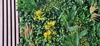 Le Végétal - 5 min à pied du centre avec jardin - 9