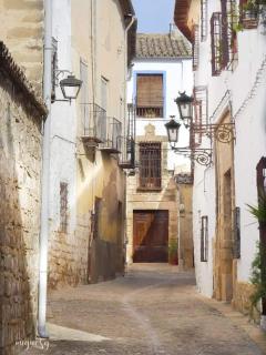 Habitación en casa con encanto, Úbeda - Úbeda - 9