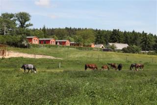 Holiday Home by Lake Garder with Panoramic Views - Lohmen - 5