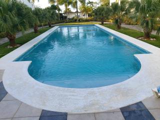 Gorgeous apartment steps to Playa Punta Popy - Las Terrenas - 5