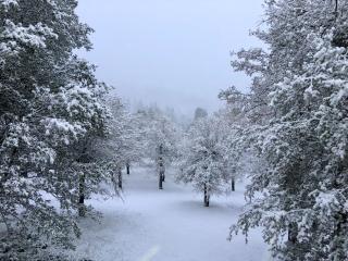 10-acre Forest Villa, Single Floor, Hot tub, Patio - Oakhurst - 1