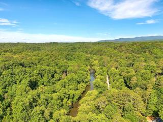 Newport River Retreat - Ellijay - 8