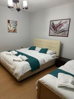 Central Apartments - Tirana - 2