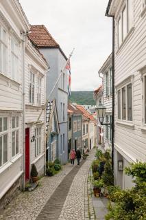Dinbnb Homes I Idyllically Located 4-Bedroom Home - Bergen - 5