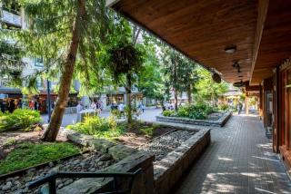 Bear Lodge 410 - Whistler - 6