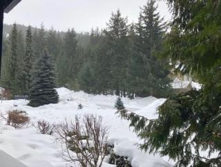 Powderhorn 204 - Whistler - 8