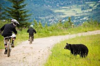 Powderhorn 204 - Whistler - 2