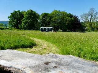 Ravenscroft Retreats Glamping - Golden Grove - 7