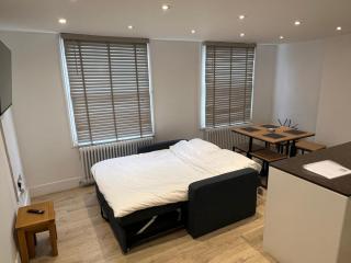 Spacious 1-bed Central London flat - Londra - 2