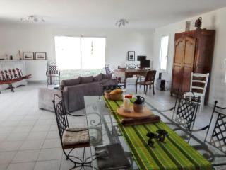 Maison charmante à Mimizan avec vue sur jardin et terrasses - Mimizan - 9