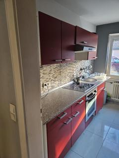 Charming and Cosy 2 room flat - Nuremberga - 1