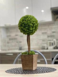 1 комнатная квартира - ЖК Нектар - Батыс 2 - 9-3 - 4