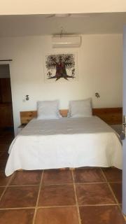 Les chambres du golf - 0